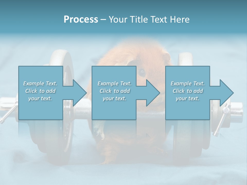 Active Guinea Small PowerPoint Template