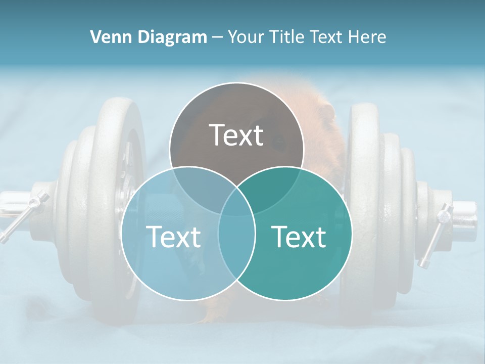 Active Guinea Small PowerPoint Template