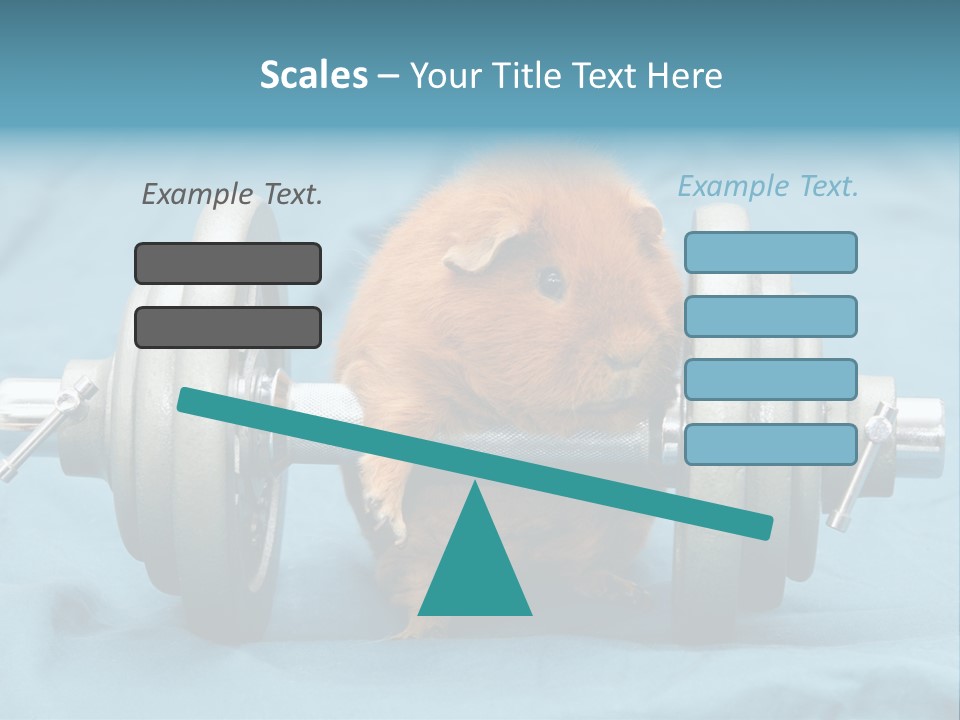 Active Guinea Small PowerPoint Template