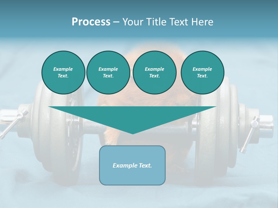 Active Guinea Small PowerPoint Template