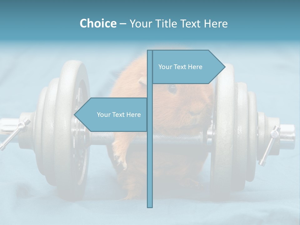 Active Guinea Small PowerPoint Template
