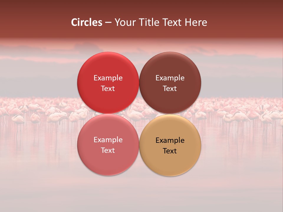 Wild Pond Sunset PowerPoint Template