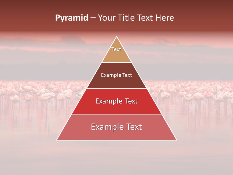 Wild Pond Sunset PowerPoint Template