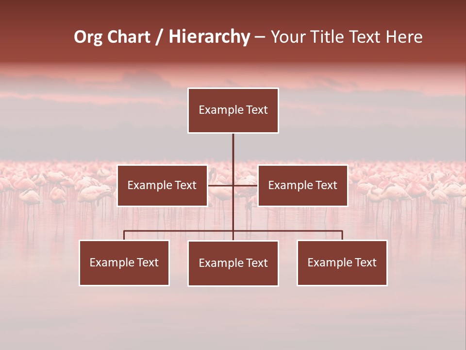 Wild Pond Sunset PowerPoint Template