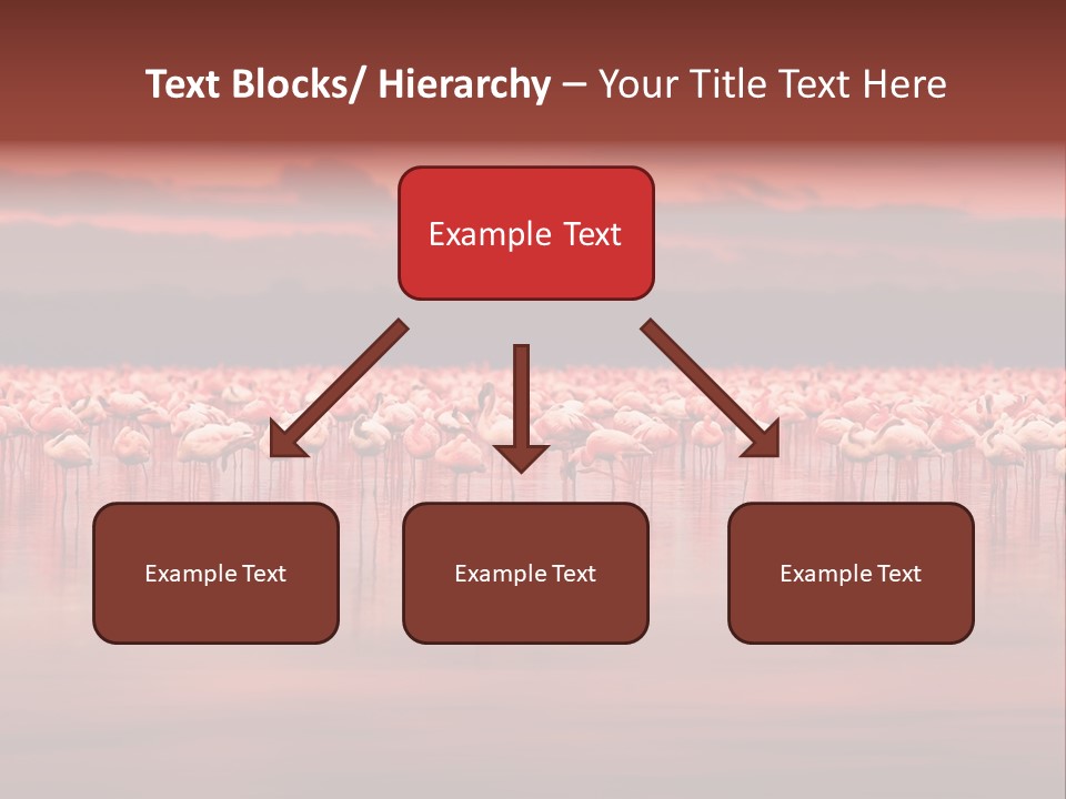 Wild Pond Sunset PowerPoint Template
