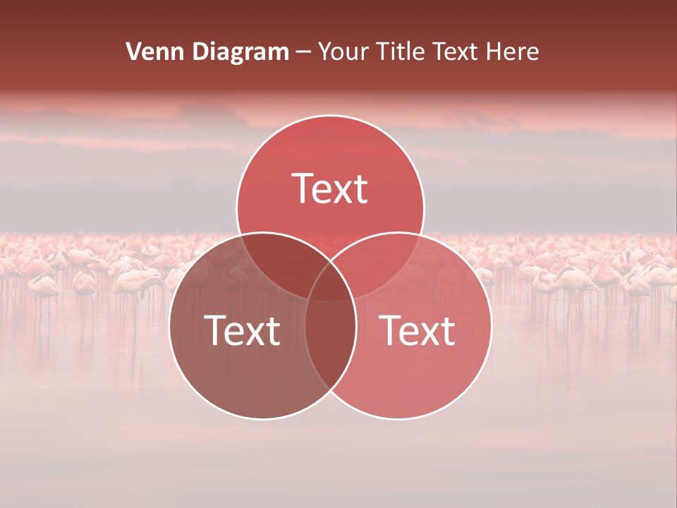 Wild Pond Sunset PowerPoint Template