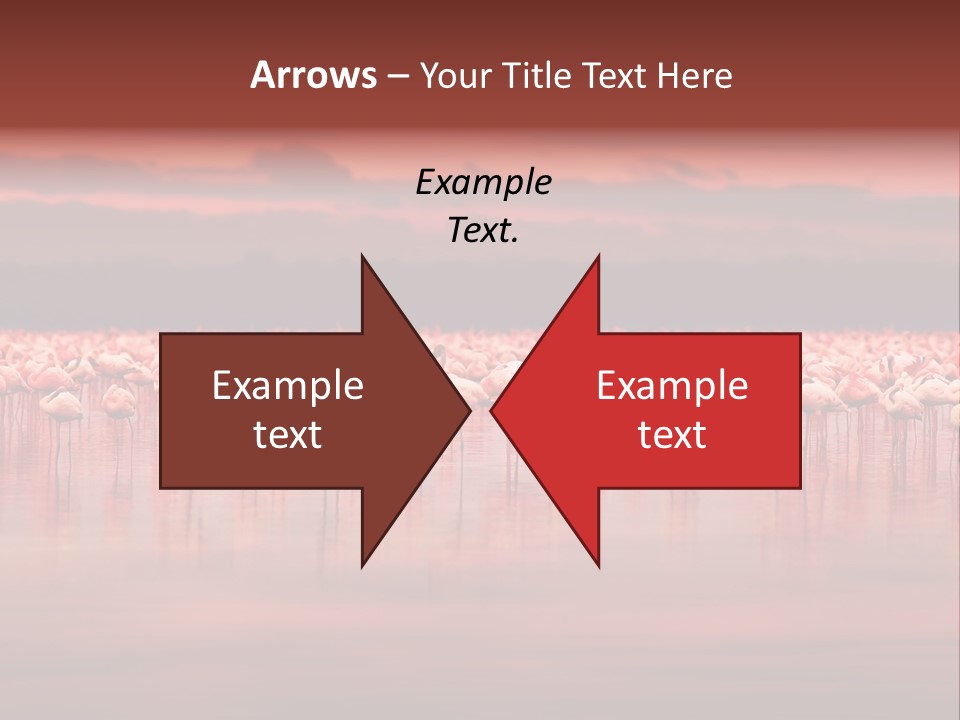 Wild Pond Sunset PowerPoint Template