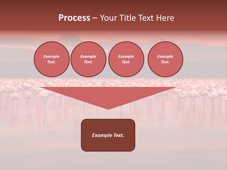 Wild Pond Sunset PowerPoint Template