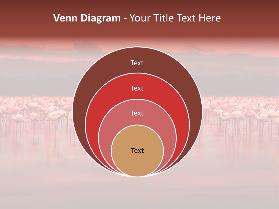 Wild Pond Sunset PowerPoint Template
