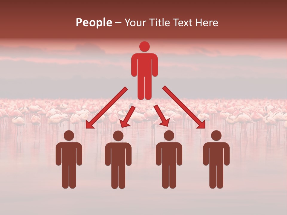 Wild Pond Sunset PowerPoint Template