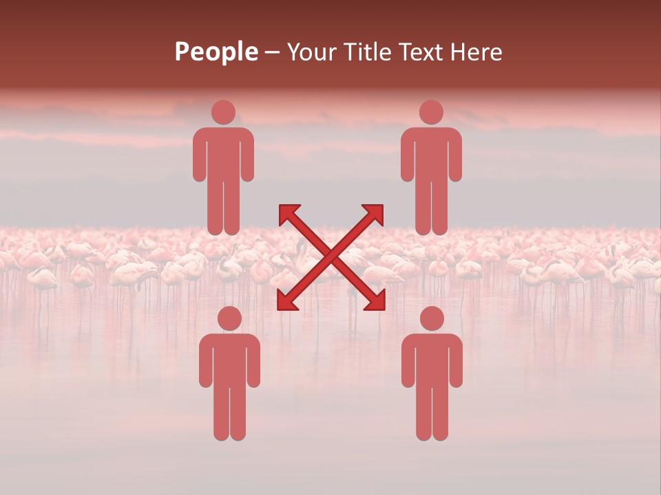 Wild Pond Sunset PowerPoint Template