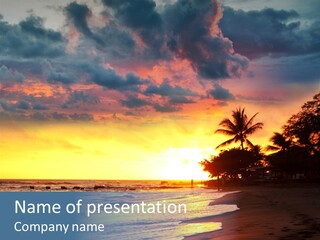 Ocean Duck Tropical Beach PowerPoint Template