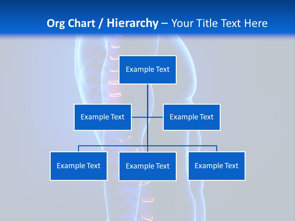 Detail Background Physical PowerPoint Template