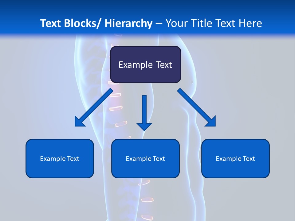 Detail Background Physical PowerPoint Template