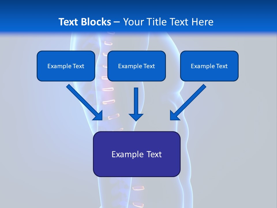 Detail Background Physical PowerPoint Template