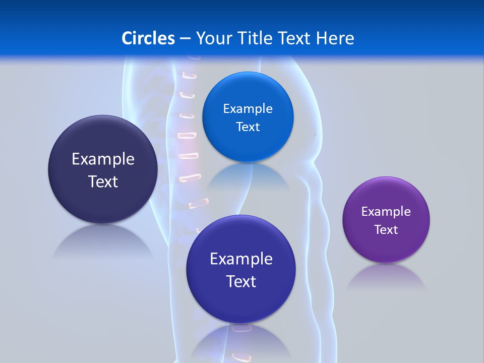 Detail Background Physical PowerPoint Template