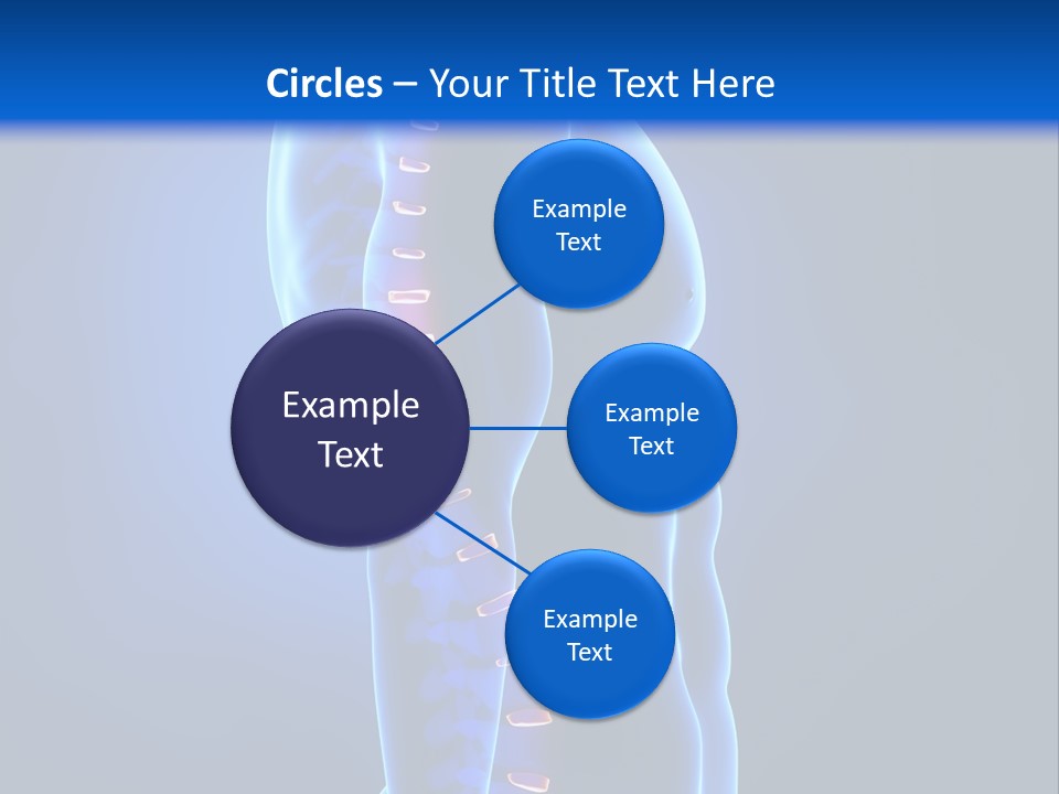 Detail Background Physical PowerPoint Template