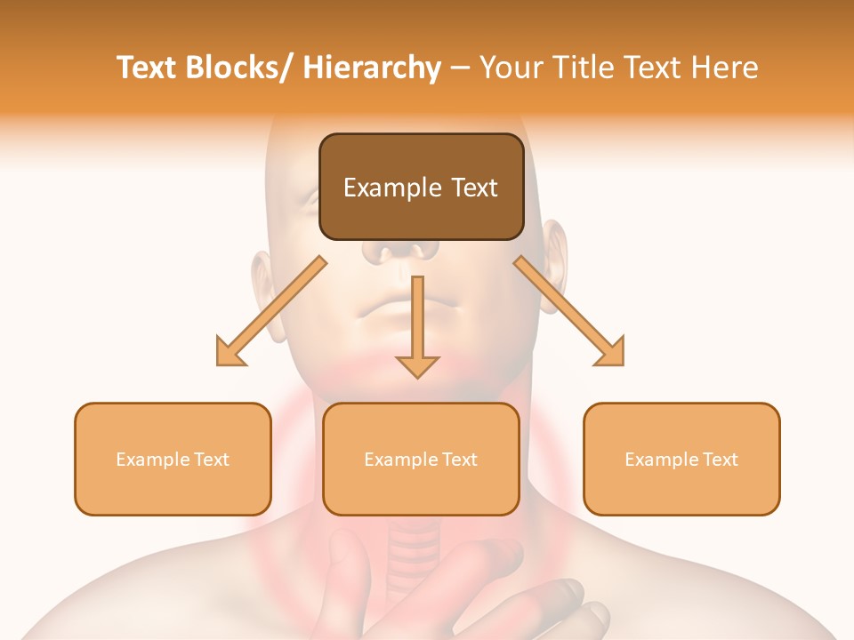 Gripe Cure Trachea PowerPoint Template