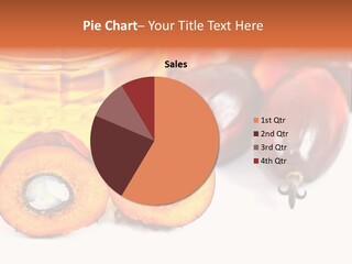 Malaysia Palm Agriculture PowerPoint Template