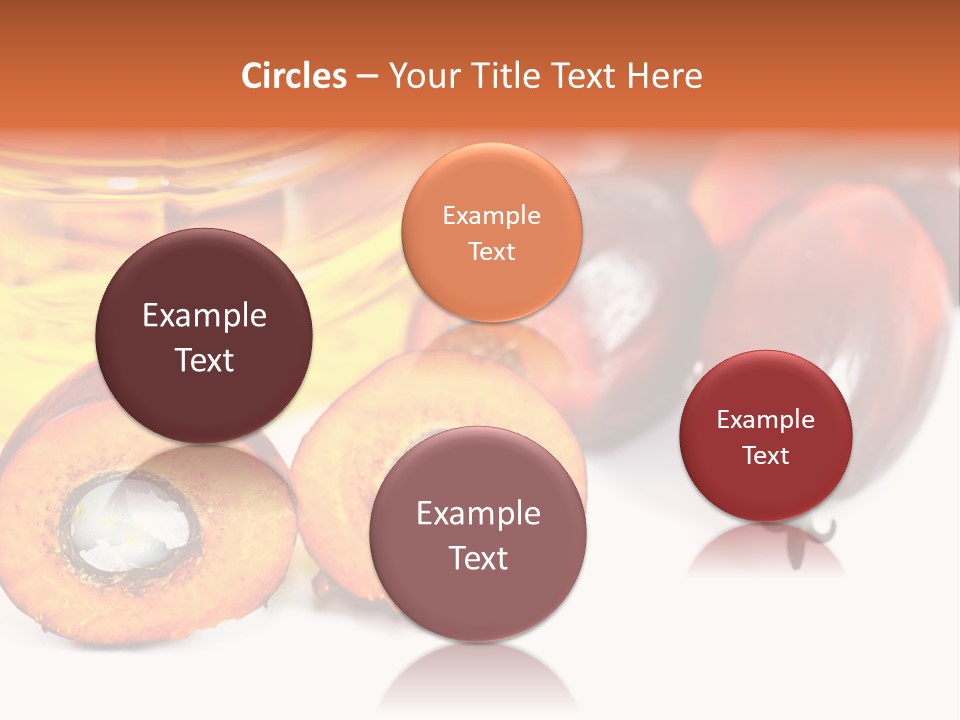 Malaysia Palm Agriculture PowerPoint Template