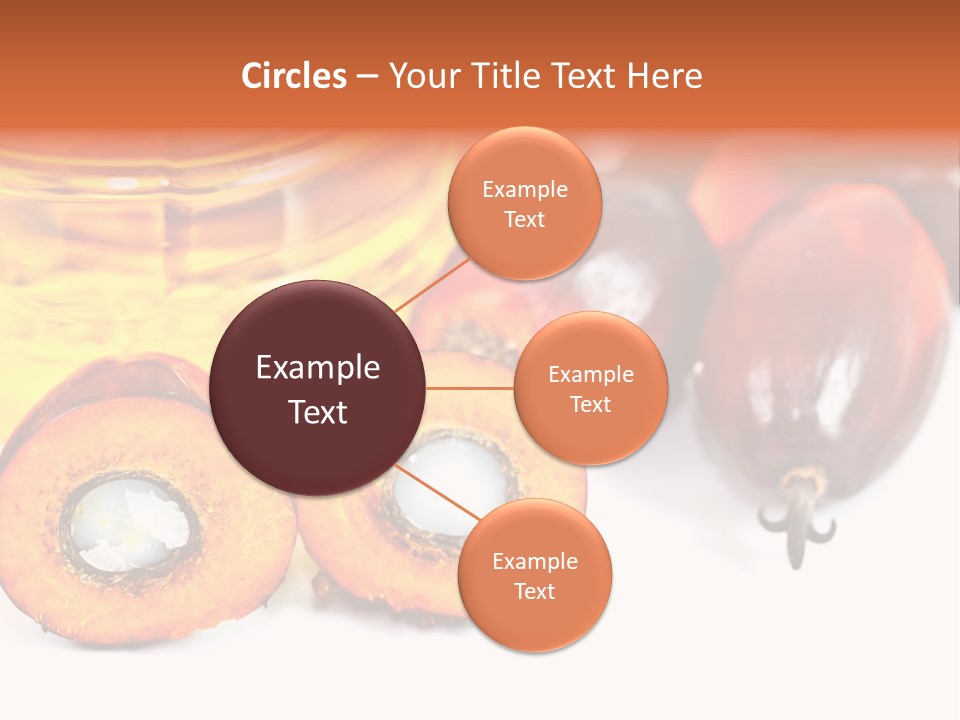 Malaysia Palm Agriculture PowerPoint Template