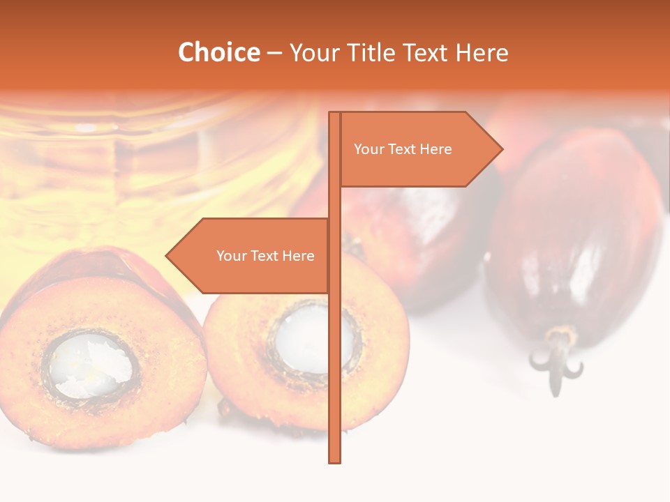 Malaysia Palm Agriculture PowerPoint Template
