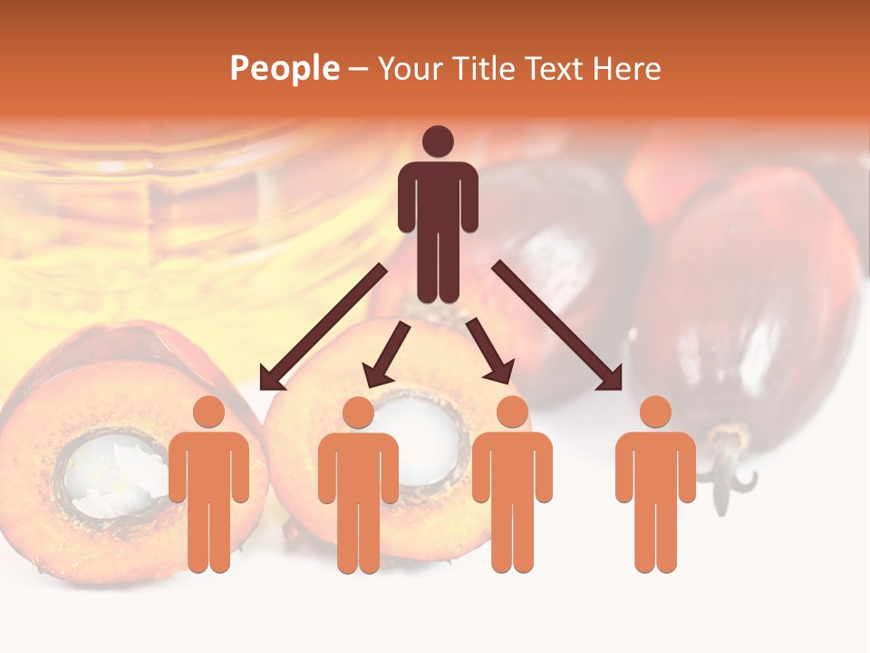 Malaysia Palm Agriculture PowerPoint Template