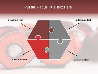 Cook Tropical Fruit PowerPoint Template