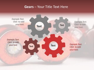 Cook Tropical Fruit PowerPoint Template