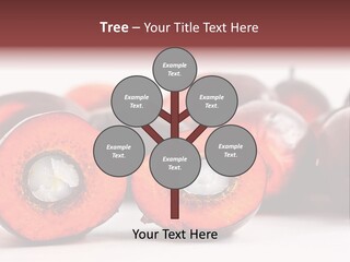 Cook Tropical Fruit PowerPoint Template