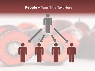 Cook Tropical Fruit PowerPoint Template