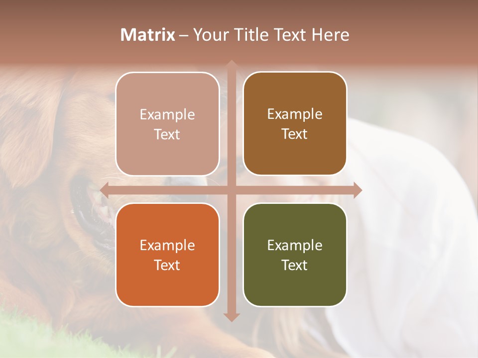 Animal Female Attractive PowerPoint Template