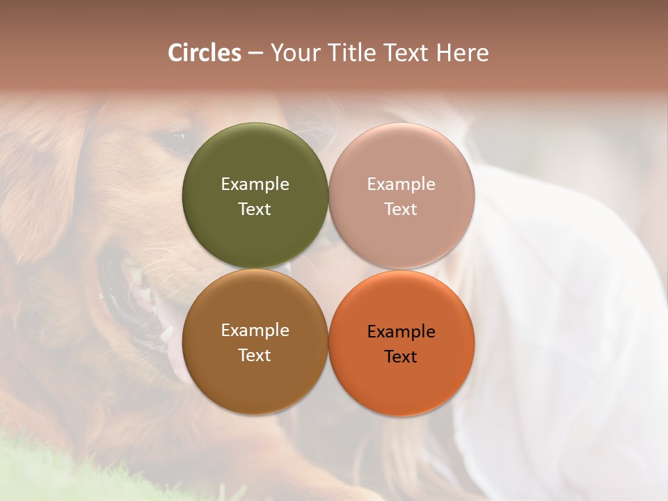 Animal Female Attractive PowerPoint Template
