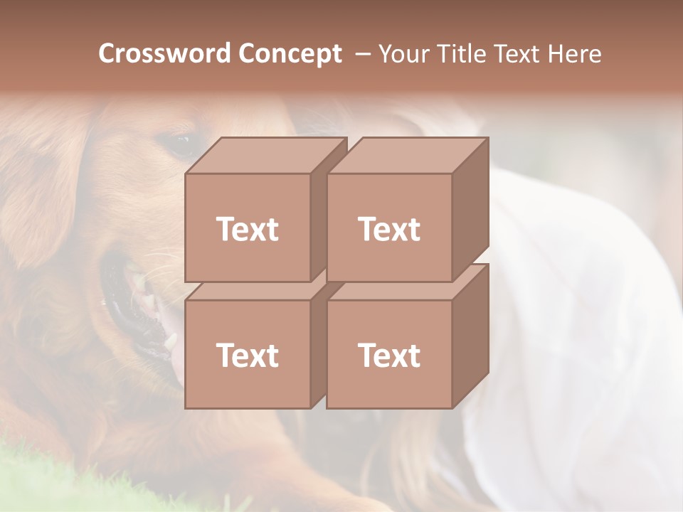 Animal Female Attractive PowerPoint Template