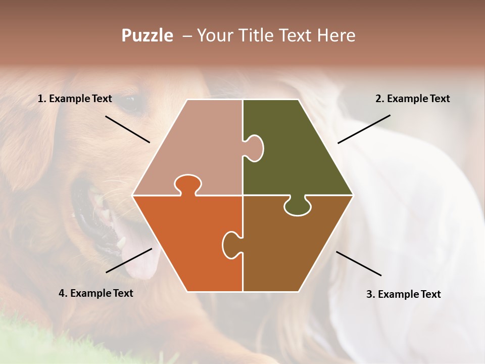 Animal Female Attractive PowerPoint Template