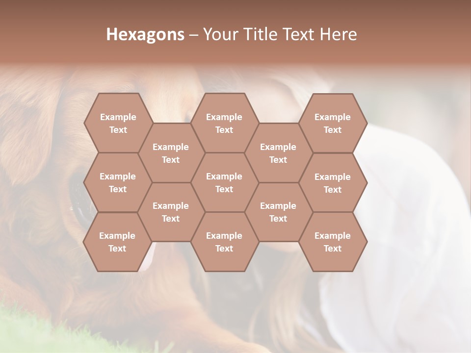 Animal Female Attractive PowerPoint Template