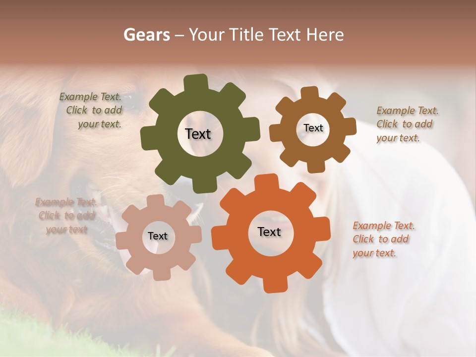 Animal Female Attractive PowerPoint Template