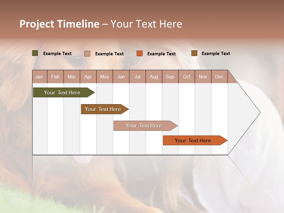 Animal Female Attractive PowerPoint Template