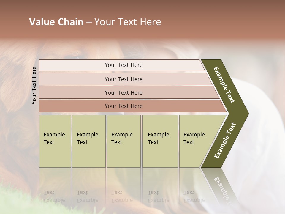 Animal Female Attractive PowerPoint Template