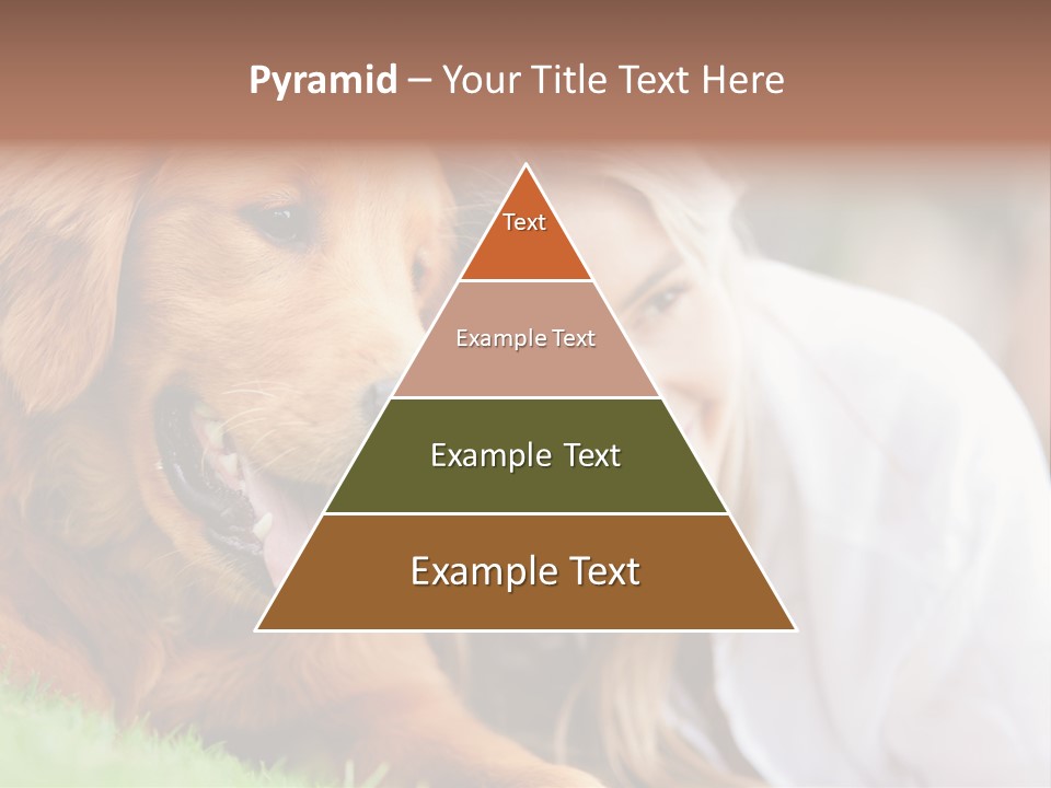 Animal Female Attractive PowerPoint Template