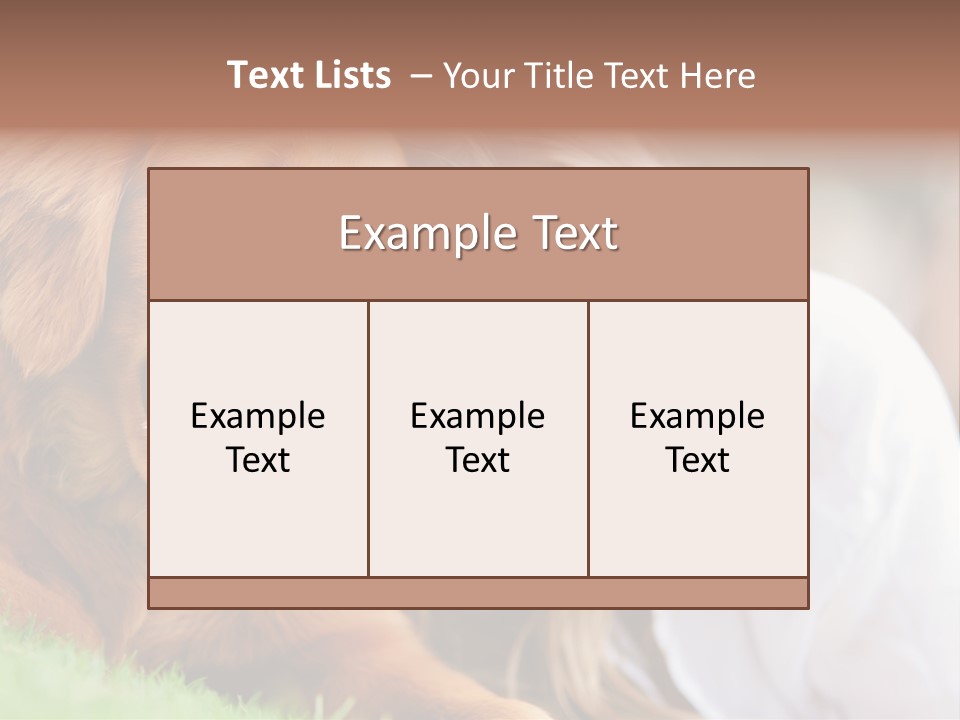 Animal Female Attractive PowerPoint Template
