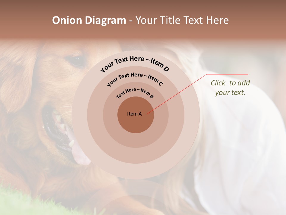 Animal Female Attractive PowerPoint Template