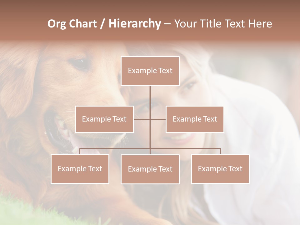 Animal Female Attractive PowerPoint Template