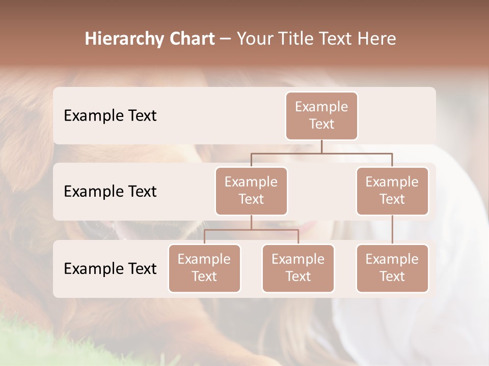 Animal Female Attractive PowerPoint Template