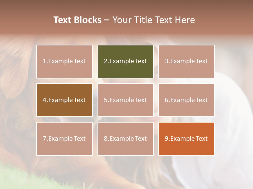 Animal Female Attractive PowerPoint Template