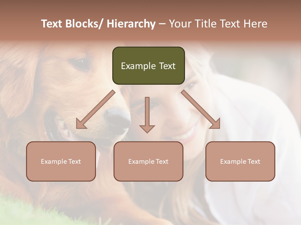 Animal Female Attractive PowerPoint Template