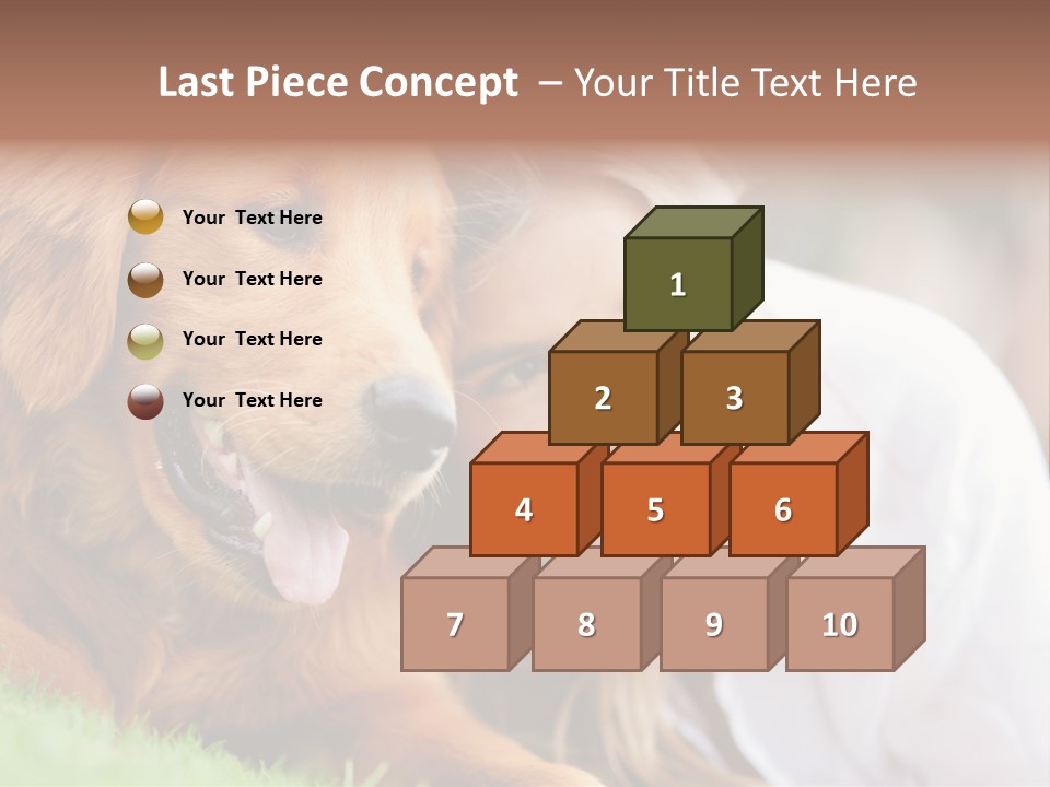 Animal Female Attractive PowerPoint Template