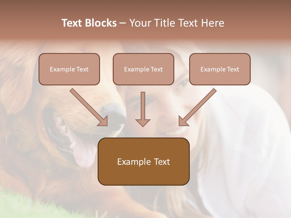 Animal Female Attractive PowerPoint Template