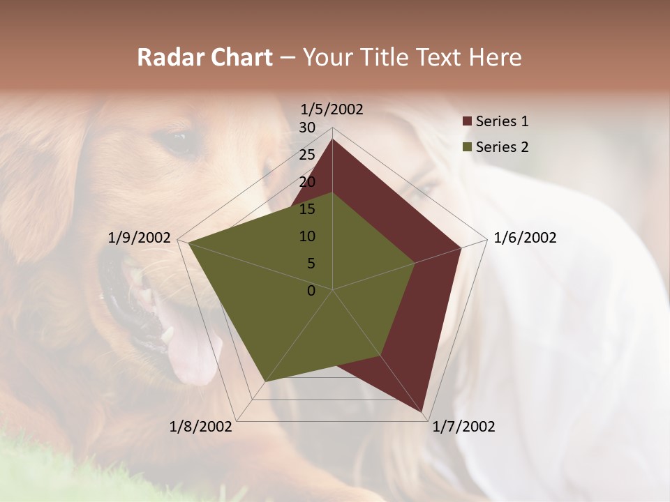 Animal Female Attractive PowerPoint Template