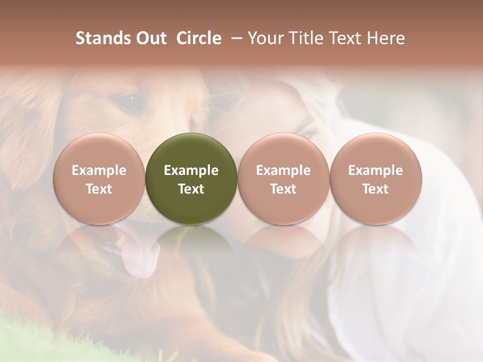 Animal Female Attractive PowerPoint Template